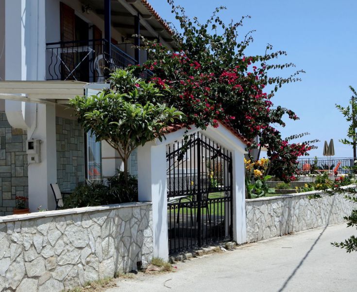 Kefalonia apartments skala kefalonia studios 14